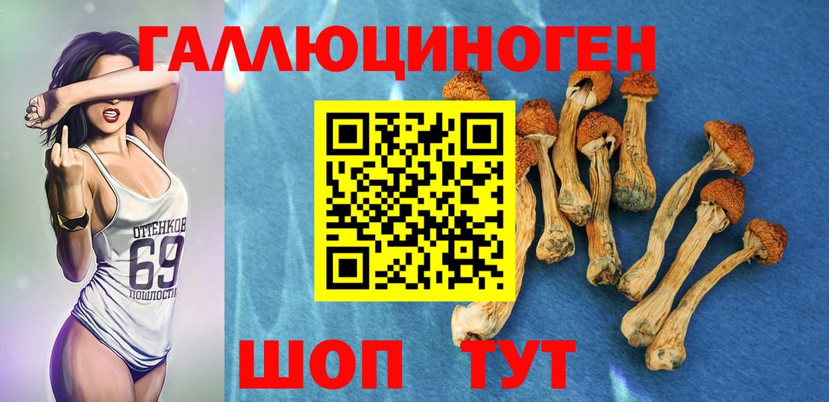 Галлюциногенные грибы Psilocybe Клин