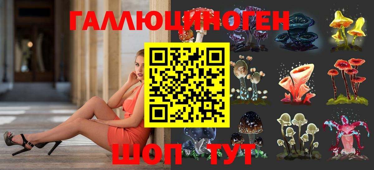 Псилоцибиновые грибы GOLDEN TEACHER  Вход с VPN  Клин 